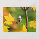 Recherche de érable cartes postales Bleu