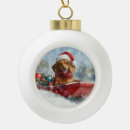 Suche nach dachshund ornamente Feiertag