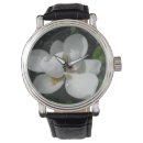 Recherche de magnolia montres Nature