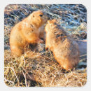 Recherche de animaux de prairie autocollants Rongeurs