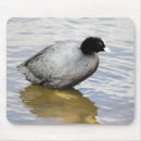 Suche nach betrug elektronik zubehör Vogelvogel