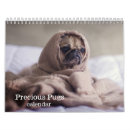 Suche nach albern kalender Hund