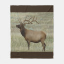 Recherche de mâle photographie Wapiti