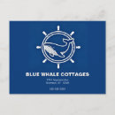 Recherche de baleines cartes postales Blanc