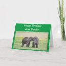 Suche nach lustige elefanten karten Albern