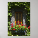 Suche nach efeu blätter poster Für sie
