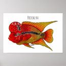 Suche nach cichlids poster Fisch