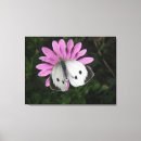 Suche nach rosa schmetterlinge poster leinwandbilder Weiß