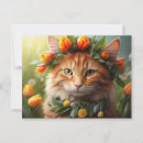 Suche nach freundliche katze postkarten Niedlich