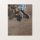 Suche nach schildkröten puzzle Natur