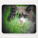 Suche nach nase mousepads Katze