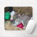 Suche nach eimer mousepads Tier