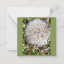 Suche nach löwenzahn kleine grußkarten Blume