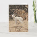 Recherche de alléluia cartes postales Le christ