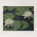 Suche nach wasserlilien puzzle Lotus