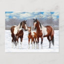 Recherche de étalon blanc cartes postales Neige