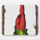 Recherche de cartes tarot tapis souris Prévision