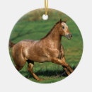 Suche nach appaloosa ornamente Bob langrish