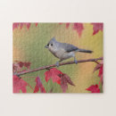 Recherche de mésange puzzles Oiseau