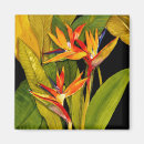 Suche nach paradiesvogel magnete Tropische blume