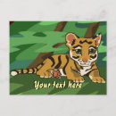 Suche nach tigerjunges postkarten Babytiger