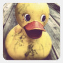 Recherche de rubber ducky autocollants Canard en caoutchouc