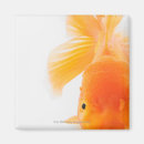 Recherche de tête de lion magnets Animal