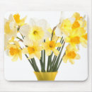Recherche de narcisse tapis souris Printemps