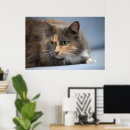 Recherche de chat curieux posters Bleu