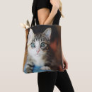 Recherche de observé sacs Chat