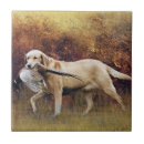 Recherche de faisan carreaux Phéasant