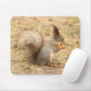 Suche nach eichhörnchen mousepads Niedliche tiere