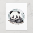 Recherche de ours bébé cartes postales Ours de panda