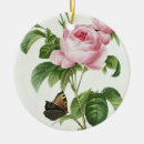 Suche nach strauch ornamente Botanisch