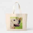 Suche nach goldenes labrador taschen Golden retriever