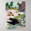 Recherche de vieilles illustrations posters Rustique