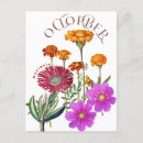 Recherche de fleur cosmo cartes postales Botanique