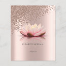 Recherche de diamants prospectus Paillettes