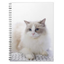 Suche nach katzenartig kleine notizbücher Katzenphotographie