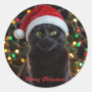 Recherche de photos chapeaux Noël