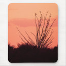 Recherche de succulent tapis souris Arizona