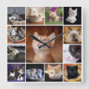Suche nach bilder der katzen wanduhren Katzenliebhaber