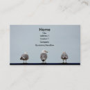 Recherche de mouette cartes visite Affaires