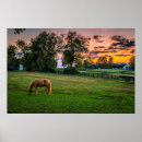 Suche nach lexington kunst Pferd