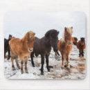 Suche nach herde mousepads Pony