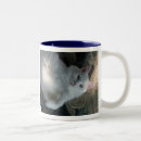 Recherche de blanche de chat tasses Chats