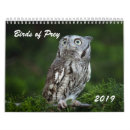 Suche nach eulen kalender Schleiereule