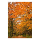 Suche nach für botaniker poster Herbst