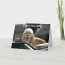 Suche nach cocker spaniel geburtstag karten Familie