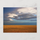 Suche nach oil painting postkarten Kunstgalerie